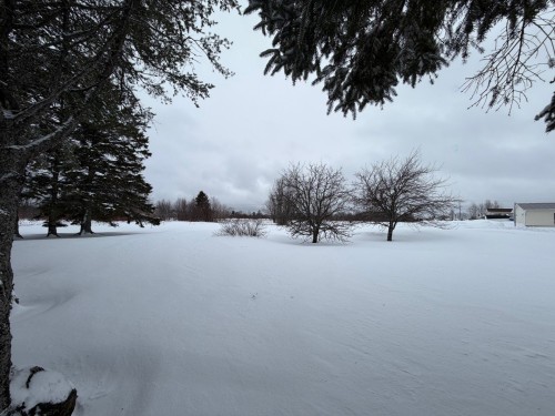 Cour - 164 Rue St-Pie-X, Paspébiac, QC - Outdoor With View