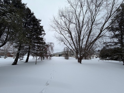 Cour - 164 Rue St-Pie-X, Paspébiac, QC - Outdoor With View