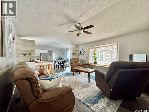 317 Riedel Avenue E, Langenburg, SK - Indoor Photo Showing Living Room