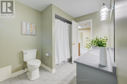 466 Dicenzo Drive, Hamilton, ON - Indoor Photo Showing Bathroom