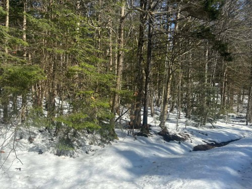 Terre/Terrain - Rue Du Pré, Eastman, QC 