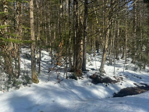 Terre/Terrain - Rue Du Pré, Eastman, QC 