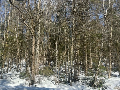 Terre/Terrain - Rue Du Pré, Eastman, QC 