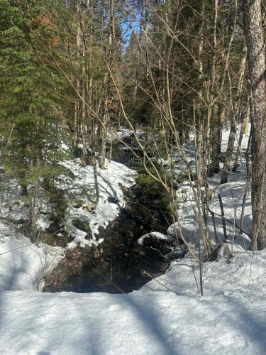 Terre/Terrain - Rue Du Pré, Eastman, QC 