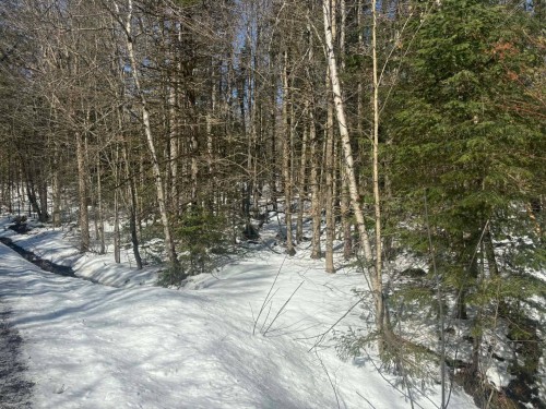 Terre/Terrain - Rue Du Pré, Eastman, QC 