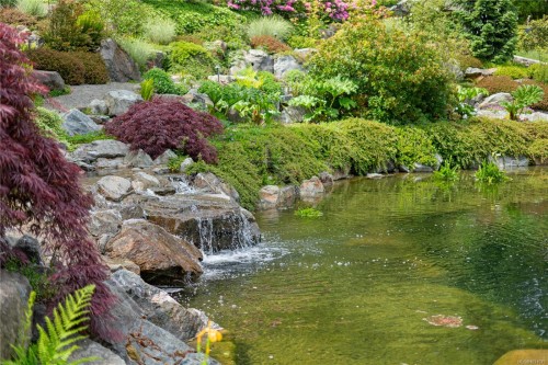 441 Glendower Rd, Saanich, BC 