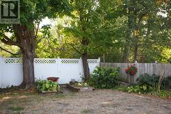 Fenced yard - 