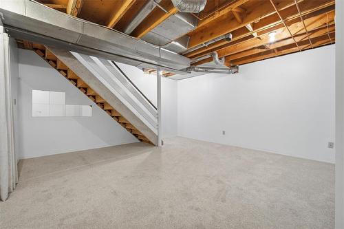 B 67 Apple Lane, Winnipeg, MB - Indoor Photo Showing Basement