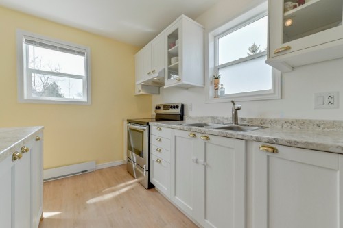 Cuisine - 6 Rue Longtin, Saint-Constant, QC - Indoor Photo Showing Kitchen With Double Sink