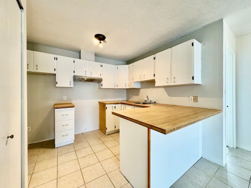 Kitchen - 402-55 Rue Beauséjour, La Prairie, QC - Indoor Photo Showing Kitchen With Double Sink