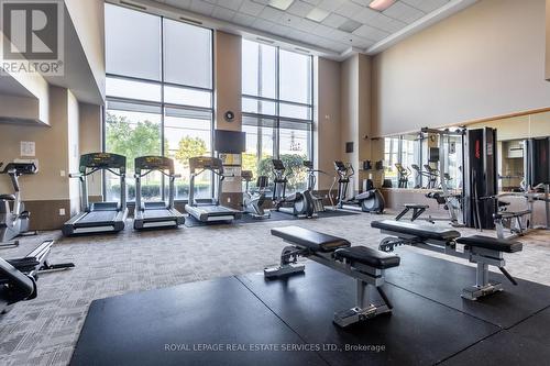 109 - 2083 Lake Shore Boulevard W, Toronto, ON - Indoor Photo Showing Gym Room