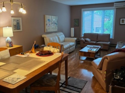 Living Room - 6672 Place Beaubien, Montréal (Mercier/Hochelaga-Maisonneuve), QC - Indoor Photo Showing Living Room