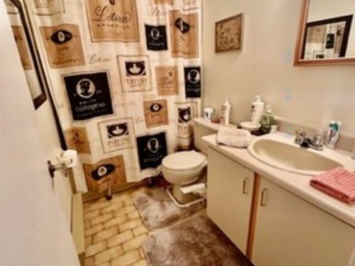 Bathroom - 6672 Place Beaubien, Montréal (Mercier/Hochelaga-Maisonneuve), QC - Indoor Photo Showing Bathroom