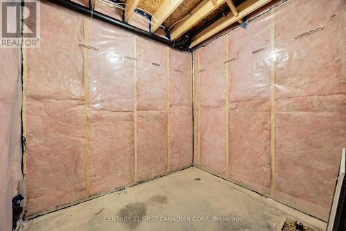 9 Postma Crescent, North Middlesex (Ailsa Craig), ON - Indoor Photo Showing Basement