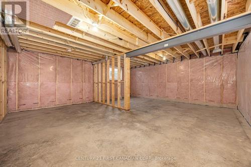 9 Postma Crescent, North Middlesex (Ailsa Craig), ON - Indoor Photo Showing Basement