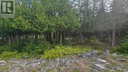 LT 254 DORCAS BAY ROAD Northern Bruce Peninsula, ON N0H 2R0