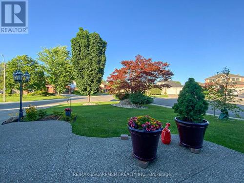 6 Regal Drive, Hamilton, ON - Outdoor