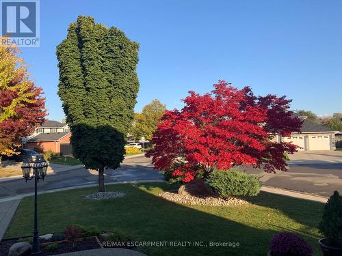 6 Regal Drive, Hamilton, ON - Outdoor