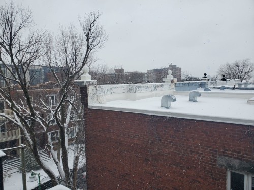 Vue - 11-811 Av. Davaar, Montréal (Outremont), QC - Outdoor With View