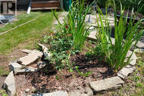 273 Thaler Avenue, Kitchener, ON - Outdoor