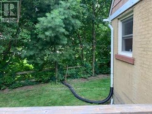 Backyard - 101 Merna Avenue, Hamilton, ON - Outdoor