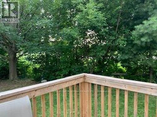 Backyard - 101 Merna Avenue, Hamilton, ON - Outdoor