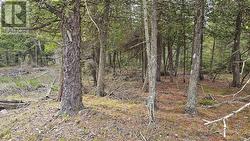 LT 255 PEDWELL PT. DRIVE Northern Bruce Peninsula, ON N0H 2R0