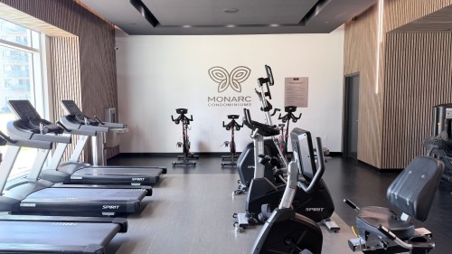 Exercise Room - 202-3000 Boul. Thimens, Montréal (Saint-Laurent), QC - Indoor Photo Showing Gym Room