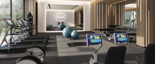 Exercise Room - 202-3000 Boul. Thimens, Montréal (Saint-Laurent), QC - Indoor Photo Showing Gym Room