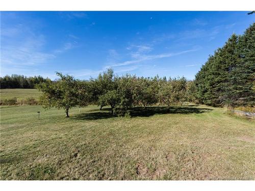 2118 Route 3, Harvey, NB 