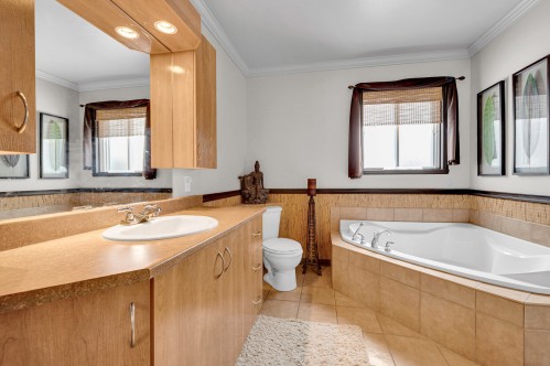 Salle de bains - 608Z Rue Des Prés, Saint-Lin/Laurentides, QC - Indoor Photo Showing Bathroom