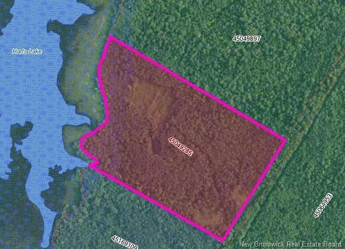 Lot Upper Vail Rd, Gagetown, NB 