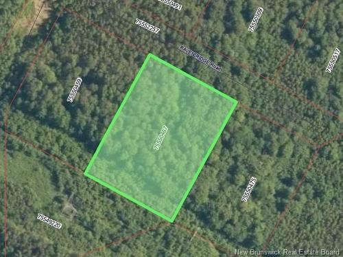 Lot Raven Ridge Rd, Central Hainesville, NB 