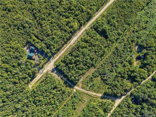 Lot Raven Ridge Rd, Central Hainesville, NB 