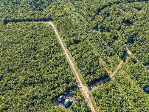 Lot Raven Ridge Rd, Central Hainesville, NB 