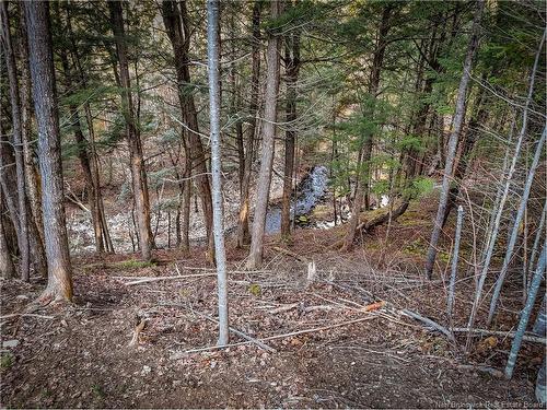 47 Lower Durham Rd, Durham Bridge, NB 