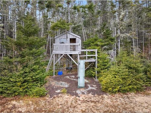 768 Route 172, Back Bay, NB 