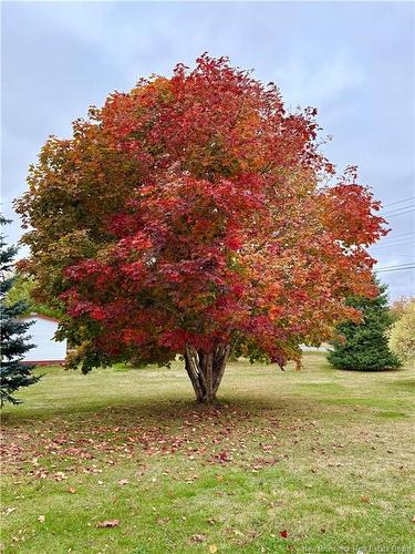 733 Morrison, Dunlop, NB 