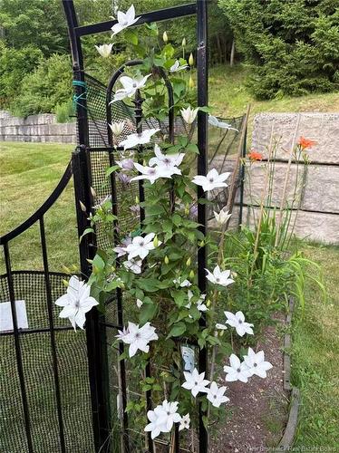 30 Secoudon Dr, Saint John, NB 