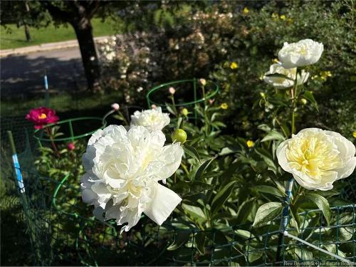 30 Secoudon Dr, Saint John, NB 