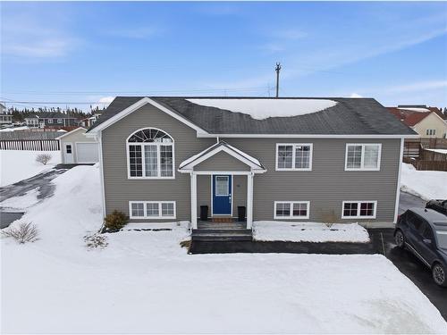 19 Melvill Place  Gander, NL A1V 0B6