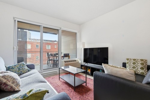 Salon - 313-1248 Av. De L'Hôtel-De-Ville, Montréal (Ville-Marie), QC - Indoor Photo Showing Living Room