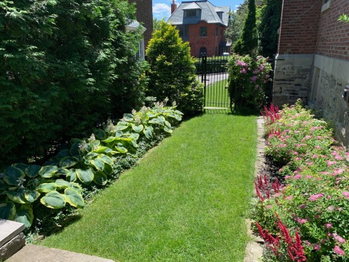 Cour - 529 Av. Clarke, Westmount, QC - Outdoor