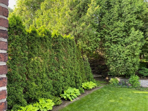 Cour - 529 Av. Clarke, Westmount, QC - Outdoor