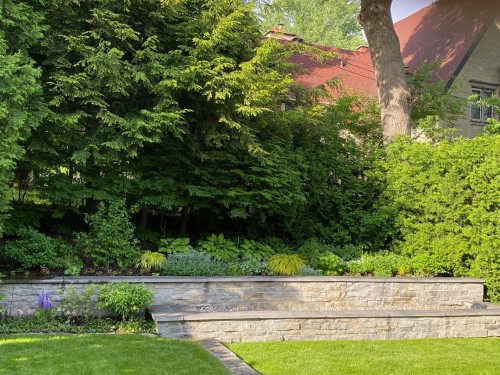 Cour - 529 Av. Clarke, Westmount, QC - Outdoor