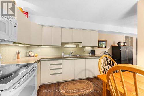 Lower Level Kitchen - 24 Testa Road, Uxbridge, ON - Indoor Photo Showing Kitchen With Double Sink