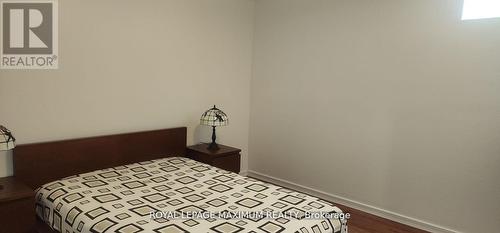 Basement - 19 Maple Forest Drive, Vaughan, ON - Indoor Photo Showing Bedroom