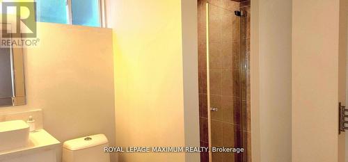 Basement - 19 Maple Forest Drive, Vaughan, ON - Indoor Photo Showing Laundry Room