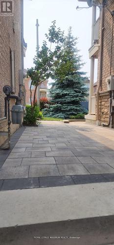 Basement - 19 Maple Forest Drive, Vaughan, ON - Outdoor