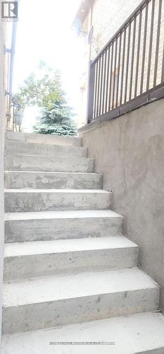 Basement - 19 Maple Forest Drive, Vaughan, ON - 